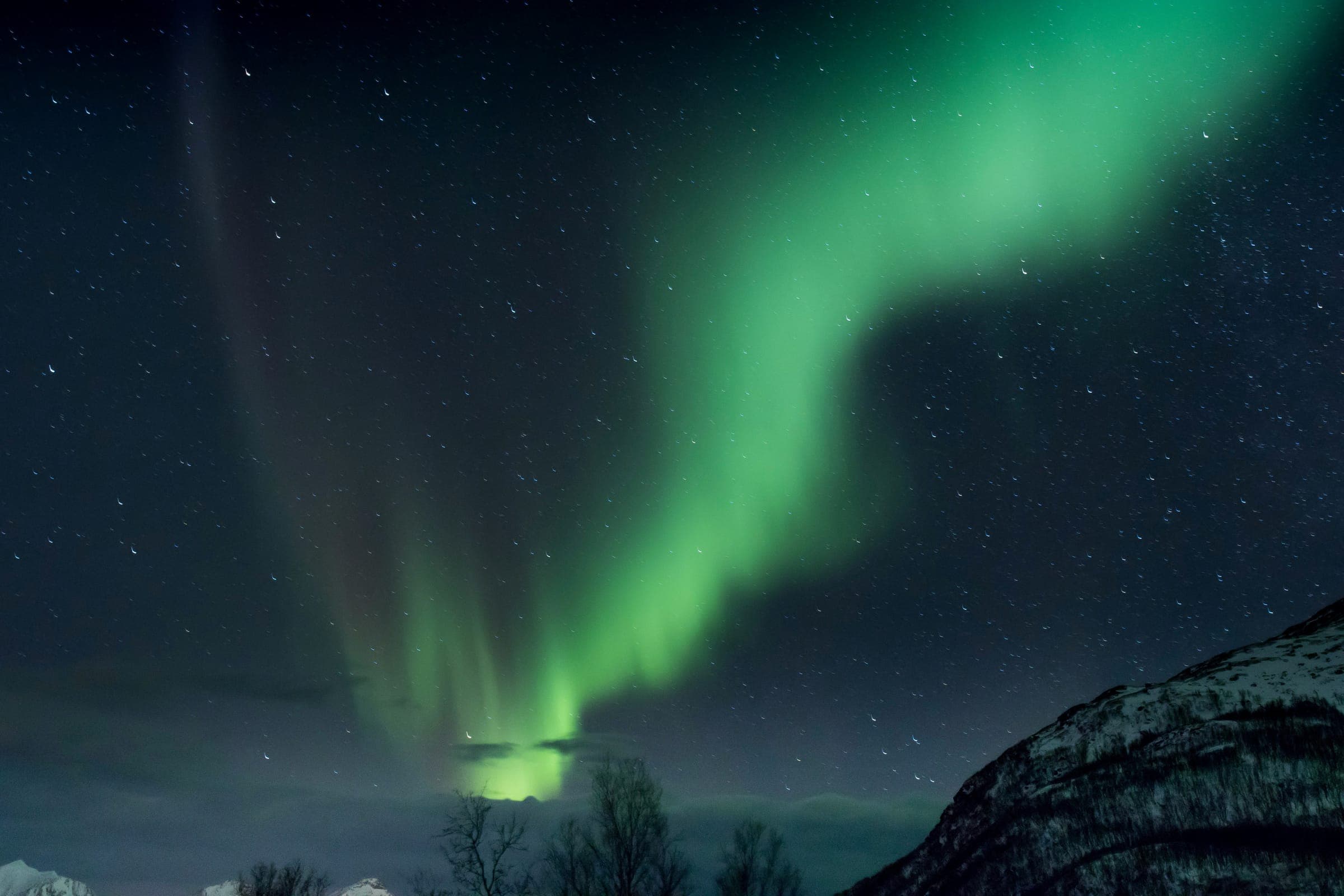 Northern Lights Hunt — photo 5